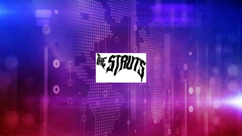 the struts net worth